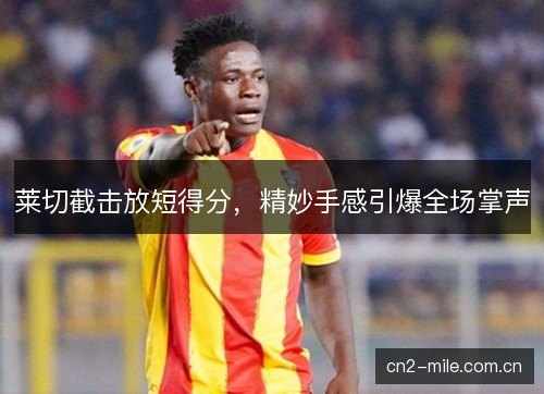 莱切截击放短得分，精妙手感引爆全场掌声